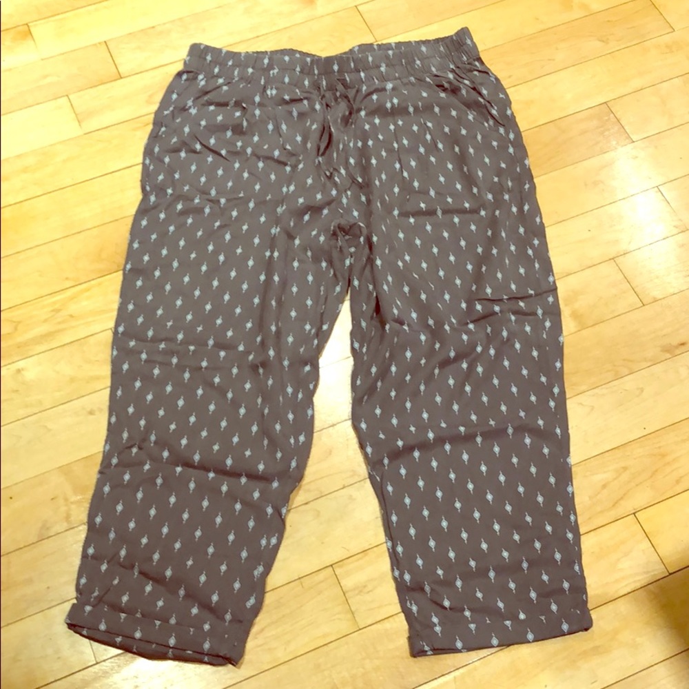 Garnet hill pants size 16